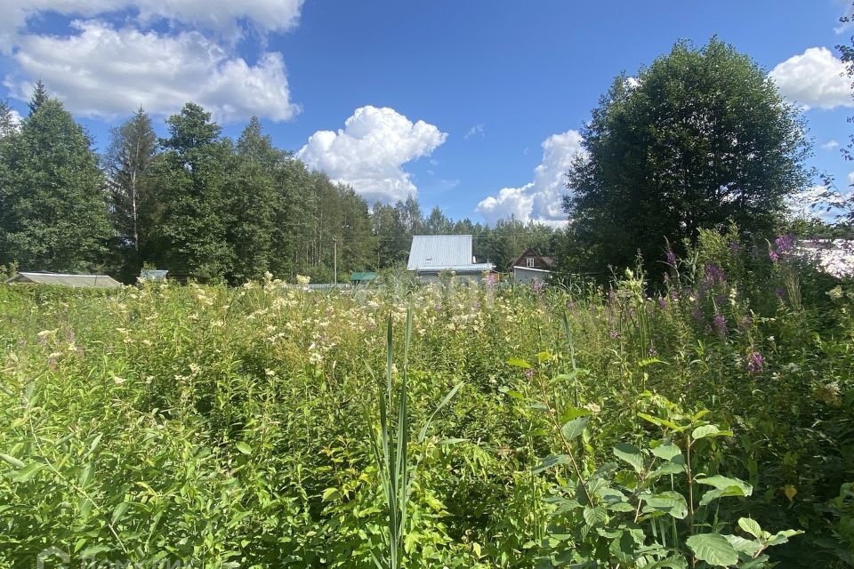 земля городской округ Талдомский СНТ Сорокино фото 3