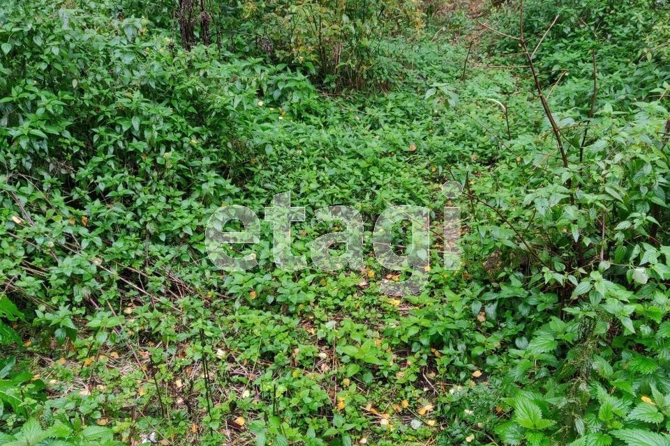 земля городской округ Дмитровский СНТ Родничок-1 фото 4