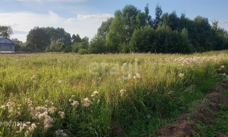 земля городской округ Дмитровский Василево фото 4