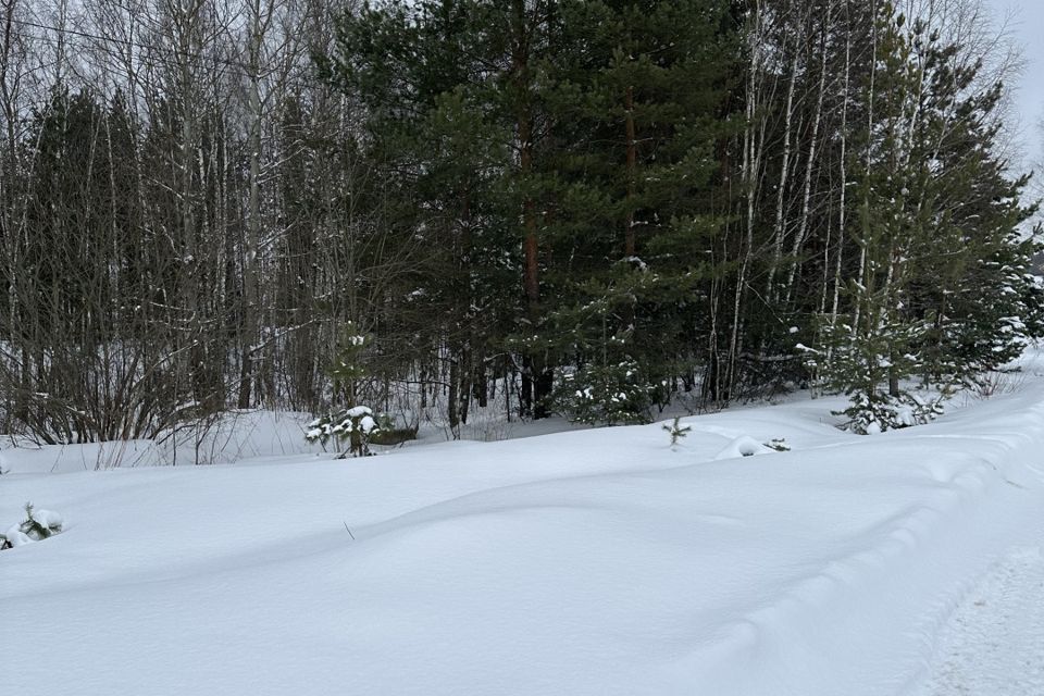 земля городской округ Солнечногорск СНТ Учитель фото 1