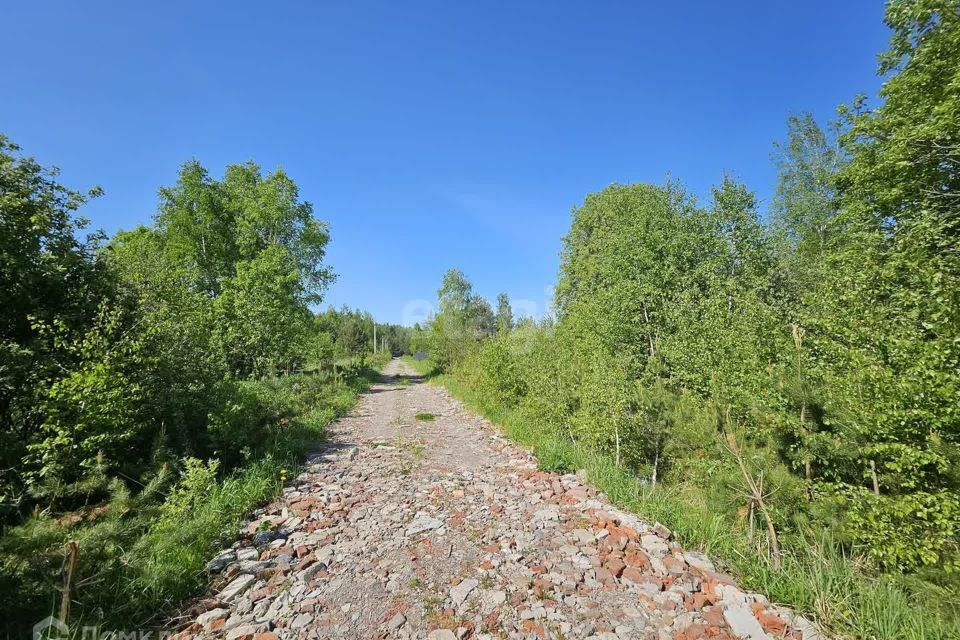 земля городской округ Раменский Лисицыны лужки фото 2