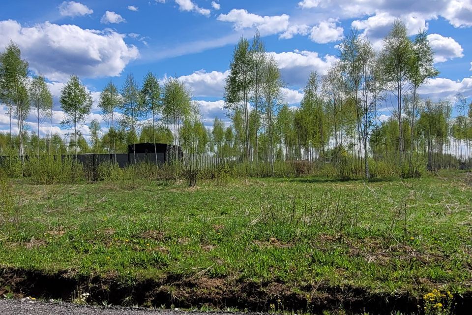 земля городской округ Дмитровский Подосинки фото 4