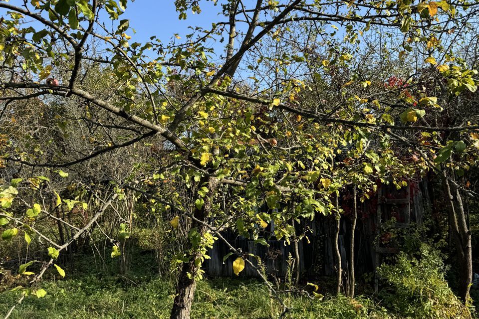 дом городской округ Красногорск НСТ Речное, 15/1 фото 2