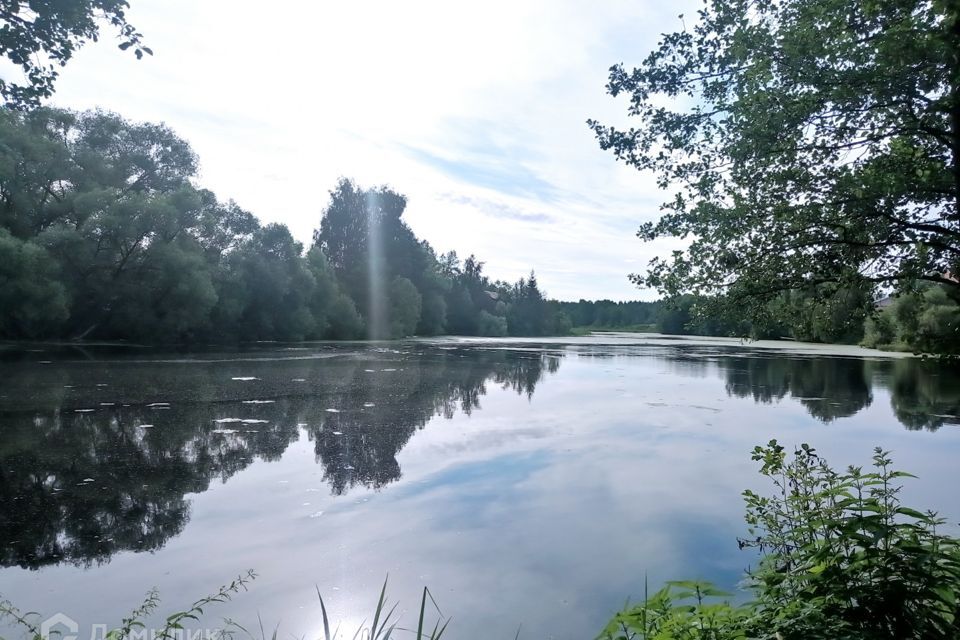 земля Коломна городской округ, СНТ Ягодное, Новоселки фото 4