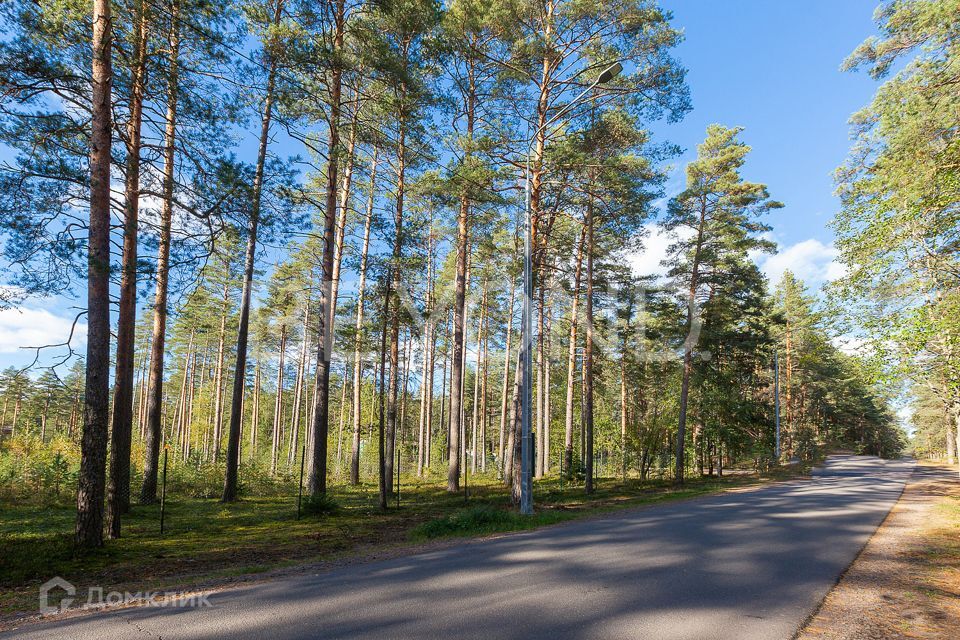 земля г Санкт-Петербург ул Комарова Курортный фото 3