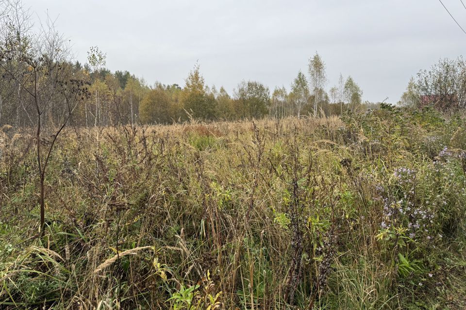 земля городской округ Чехов Ивановское фото 4