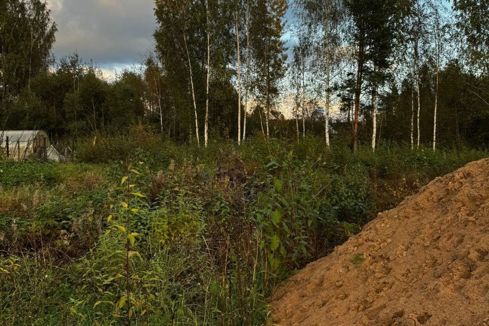 земля г Сосновый Бор снт Энергетик ул Луговая Сосновоборский городской округ фото 2