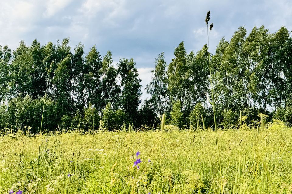 земля городской округ Орехово-Зуевский Кудыкино фото 4