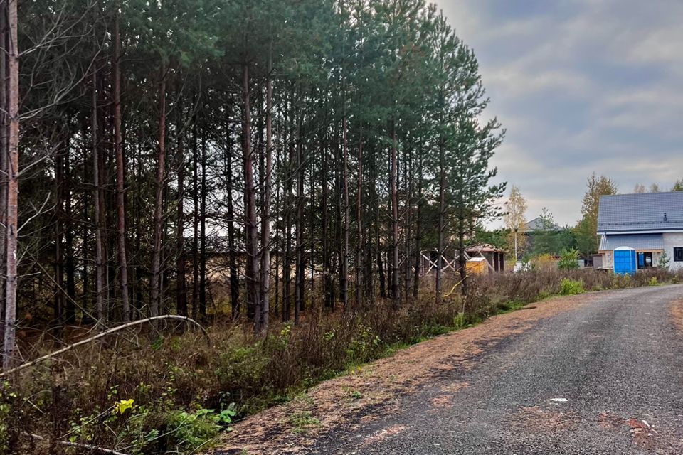 земля городской округ Раменский ИЖС Дергаево фото 5