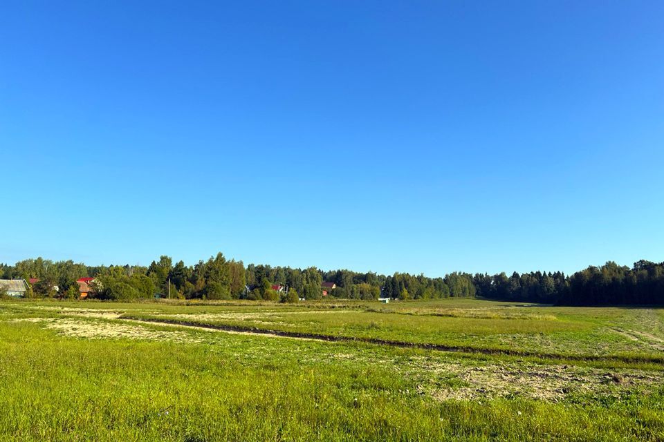 земля городской округ Пушкинский фото 6