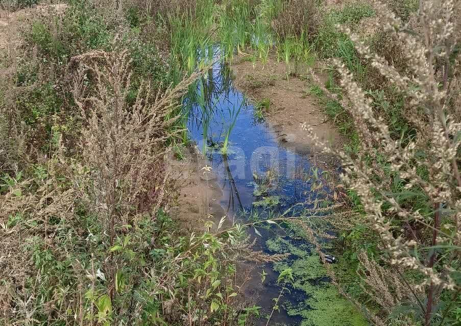 земля городской округ Подольск Романцево фото 10