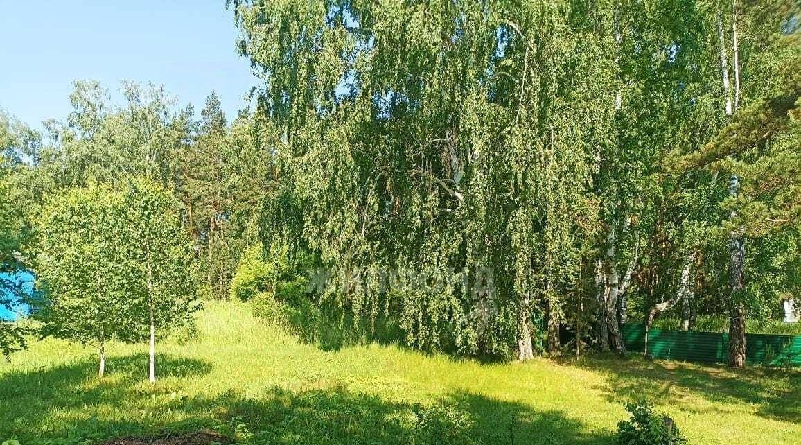 дом р-н Новосибирский п Воробьевский ул Солнечная сельсовет, Кудряшовский фото 7