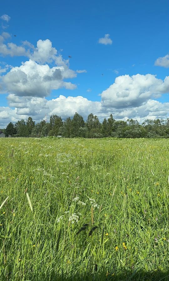 земля р-н Выборгский п Красносельское Трасса Сортавала, 9801 км, 41К-024 фото 37