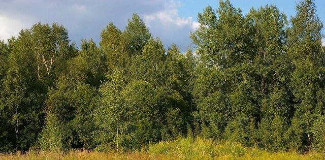 д Дарьино Каринское муниципальное образование фото