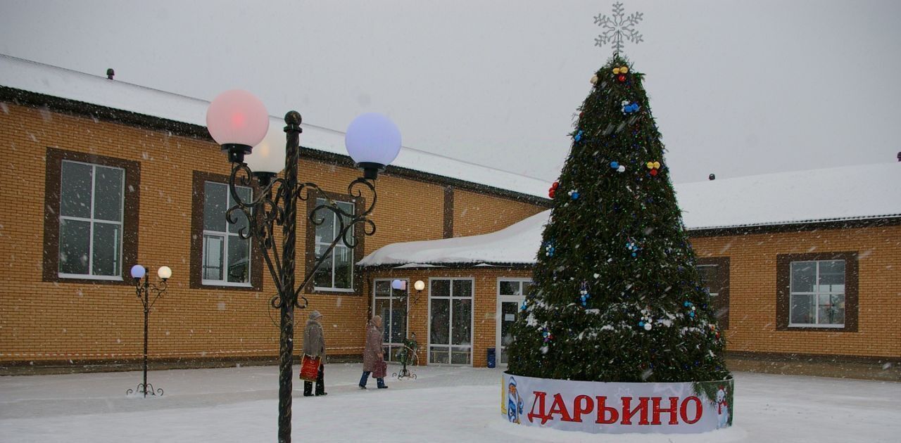 земля р-н Александровский д Дарьино Каринское муниципальное образование фото 18