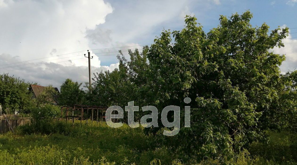 дом р-н Брянский д Дубровка Новодарковичское с/пос, Механизатор СДТ, 264 фото 12