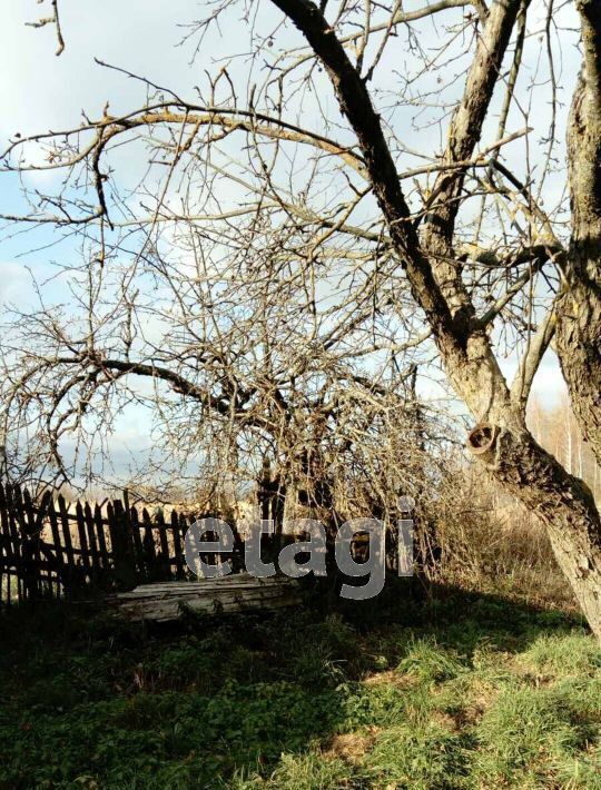 дом р-н Рогнединский д Ормино ул Заречная Рогнединское городское поселение фото 9