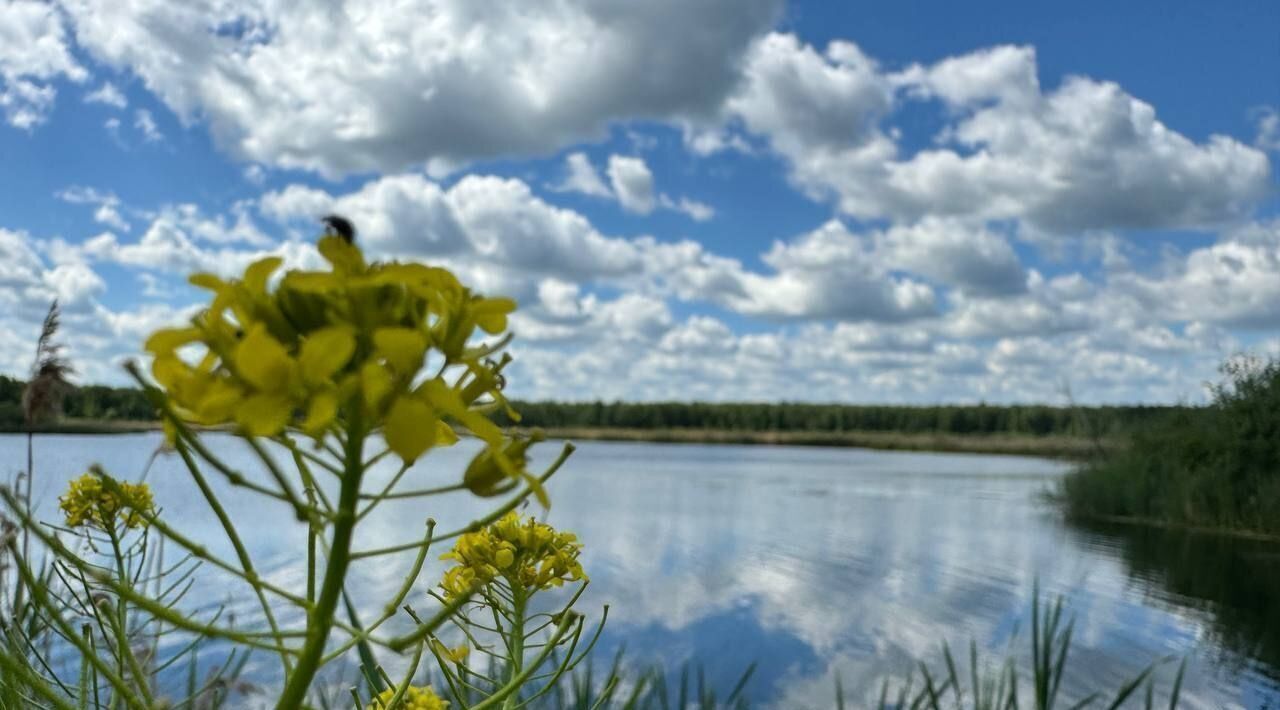 земля р-н Нижнетавдинский снт Лесная Сказка фото 4