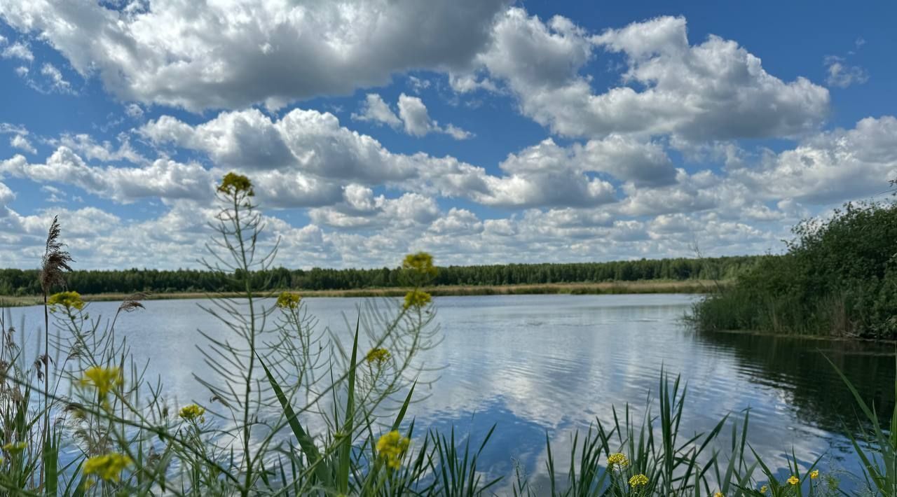 земля р-н Нижнетавдинский снт Лесная Сказка фото 7