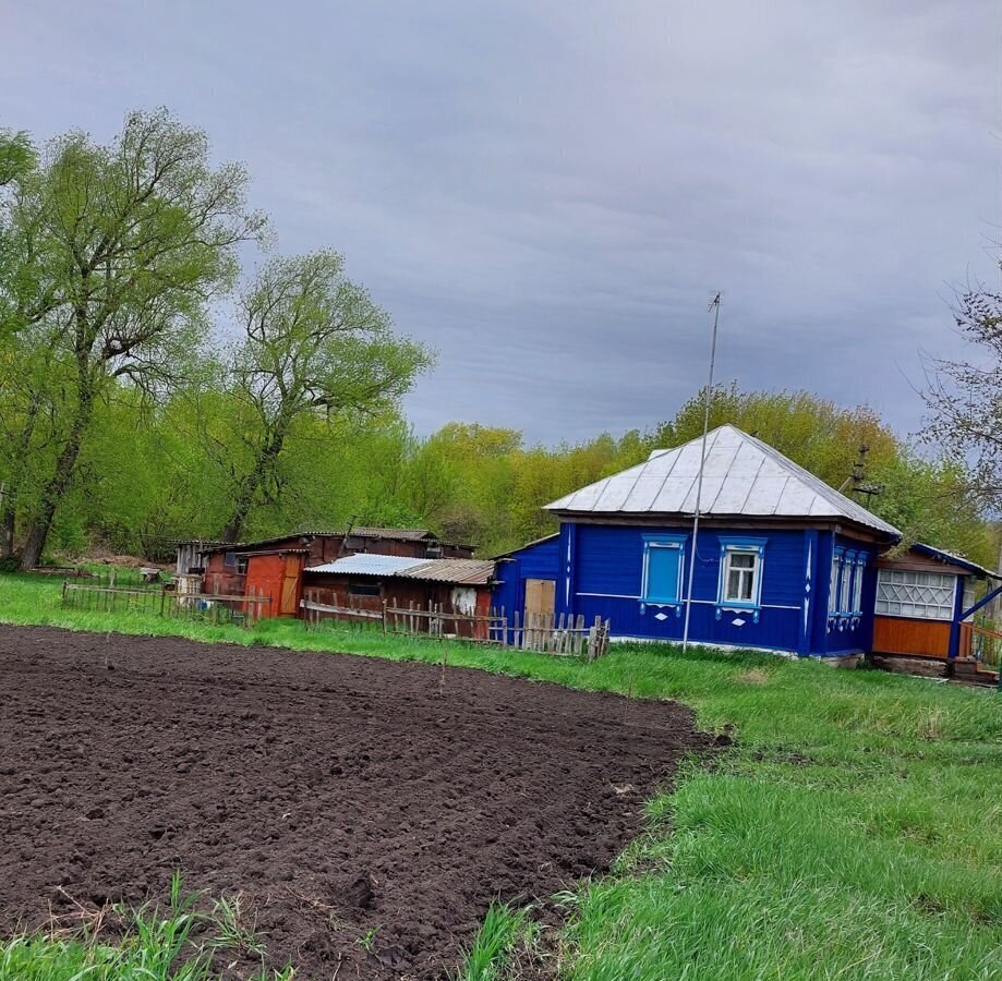 дом р-н Чаплыгинский с Большой Снежеток ул Дальняя Юсовский сельсовет, Чаплыгин фото 4