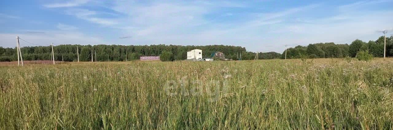 земля городской округ Дмитровский п Василево фото 4