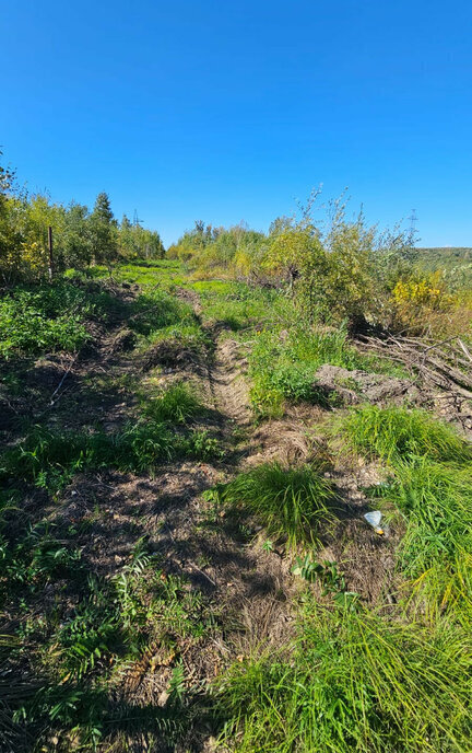 земля р-н Благовещенский с Чигири ул Пограничная фото 5