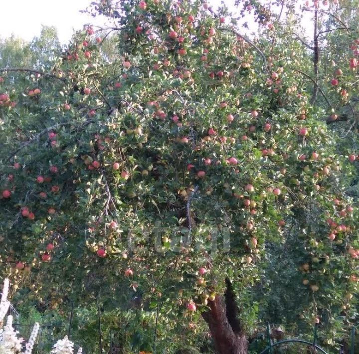 земля городской округ Дмитровский д Голявино Водник СНТ, 21 фото 12