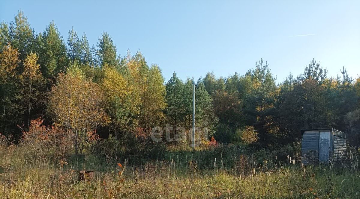 земля р-н Верхнеуслонский снт Родник Введенско-Слободское с/пос, 275 фото 4