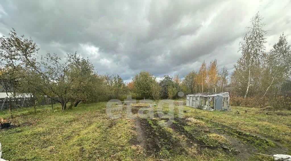 земля р-н Брянский п Путевка снт Ветеран-2 пос, СДТ, 171, Снежское с, с. Толмачево фото 8