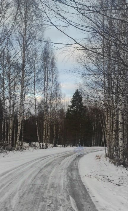 земля р-н Чкаловский д Каблуково Чкаловск городской округ фото 12