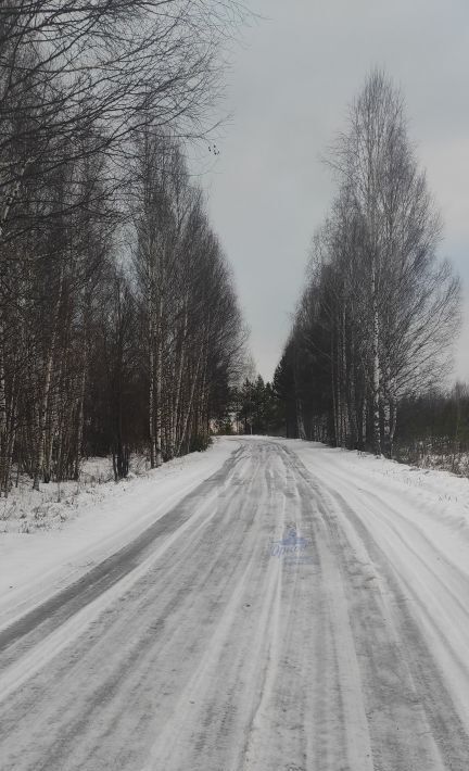 земля р-н Чкаловский д Каблуково Чкаловск городской округ фото 11