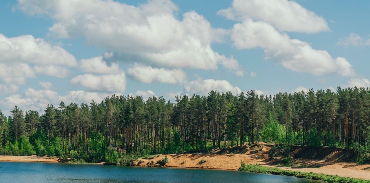 земля р-н Всеволожский Лесколовское с/пос, Негород Токсово кп фото 10