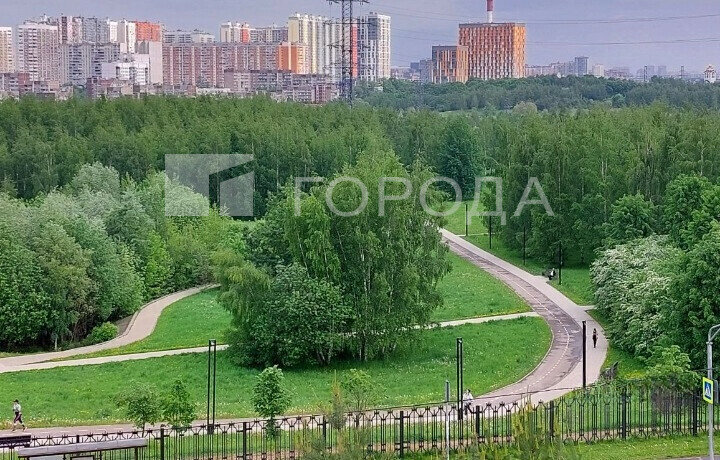 квартира г Москва Пенягино ул Рословка 10 фото 3