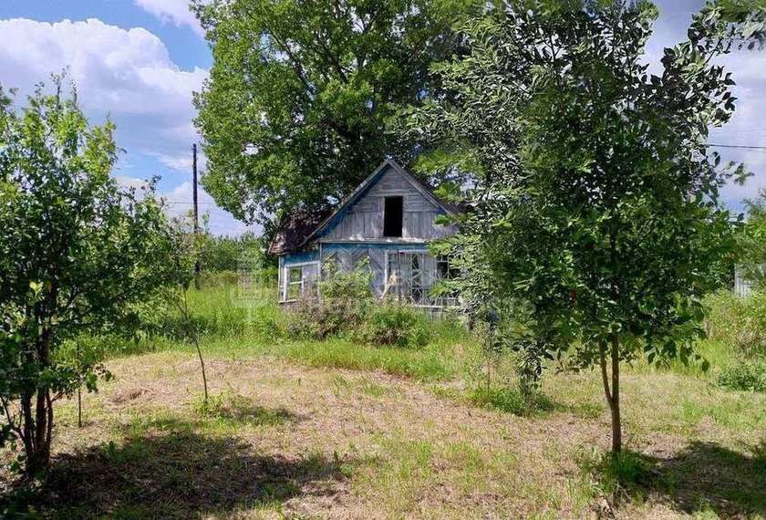 земля р-н Новгородский рп Панковка Панковское городское поселение, садоводческий массив № 2, Северная ул фото 1