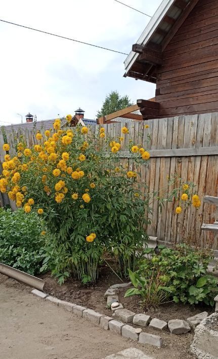 дом г Абакан ул Зеленая 20 Реки Ташеба дачный район, Ташеба-Пенсионеры СОСН фото 8