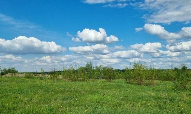 сельсовет, Гафуровский фото