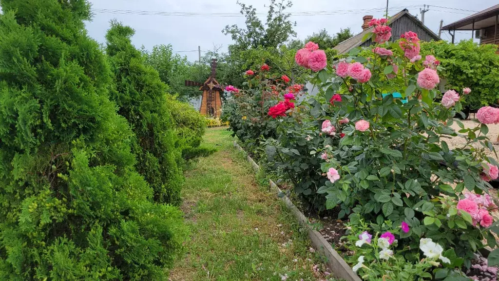 дом р-н Ейский ст-ца Должанская ул Калинина 321 фото 19