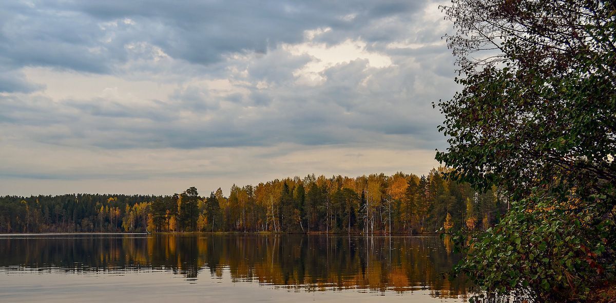 земля г Санкт-Петербург п Комарово ул Привокзальная 29 р-н Курортный фото 8