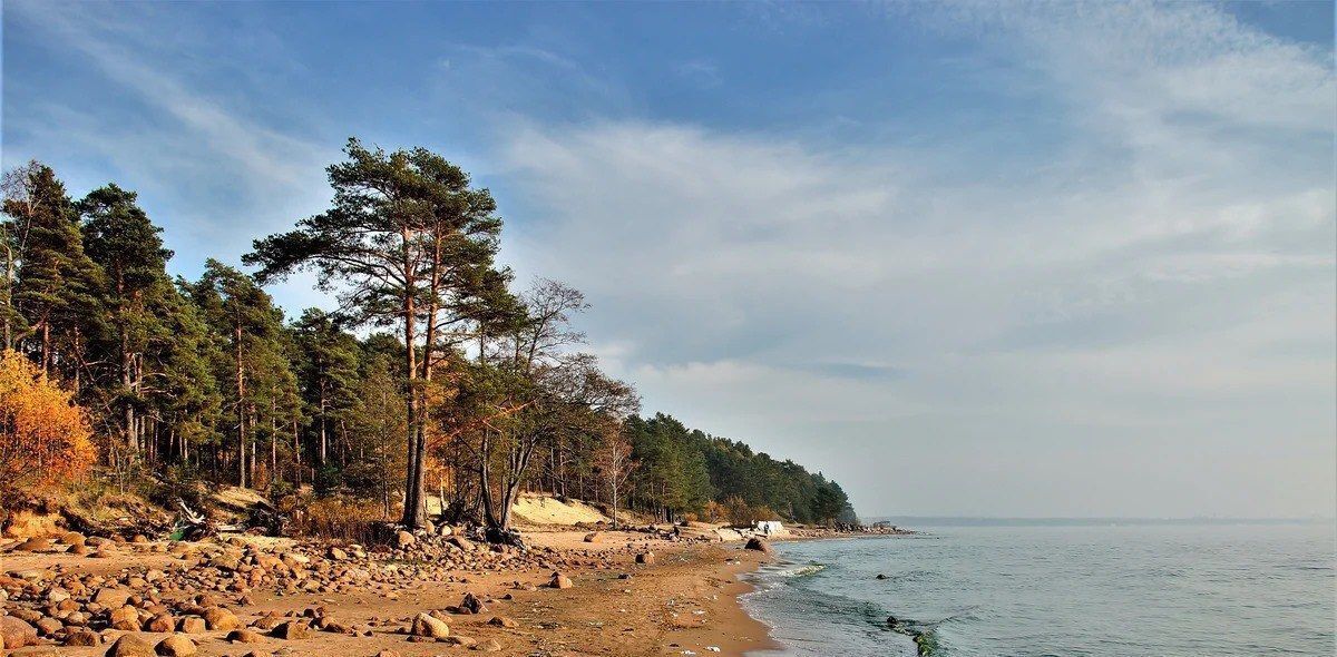 земля г Санкт-Петербург п Комарово ул Привокзальная 29 р-н Курортный фото 12