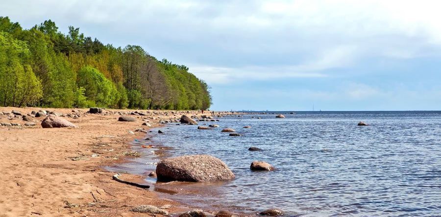 земля г Санкт-Петербург п Комарово ул Привокзальная 29 р-н Курортный фото 15