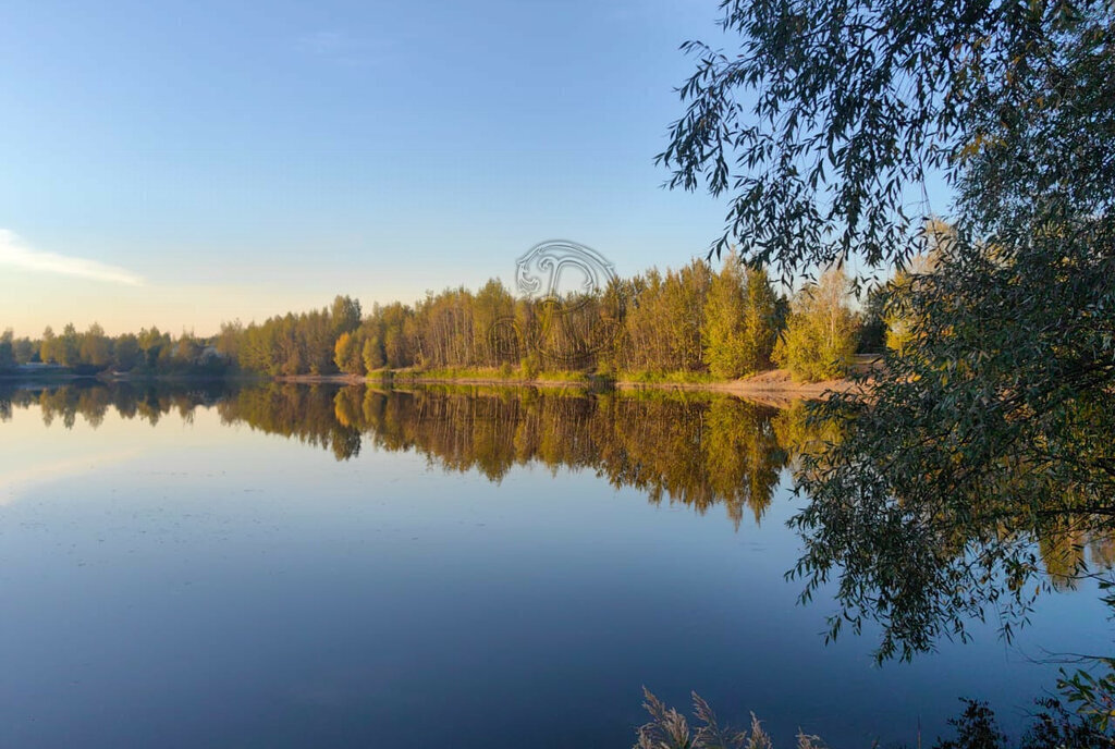 земля городской округ Богородский п Воровского СНТ Отдых фото 7