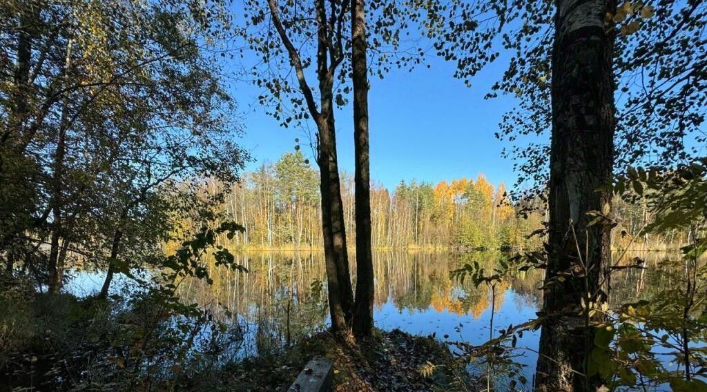 земля р-н Выборгский п Первомайское пос, пос. Озерки фото 24