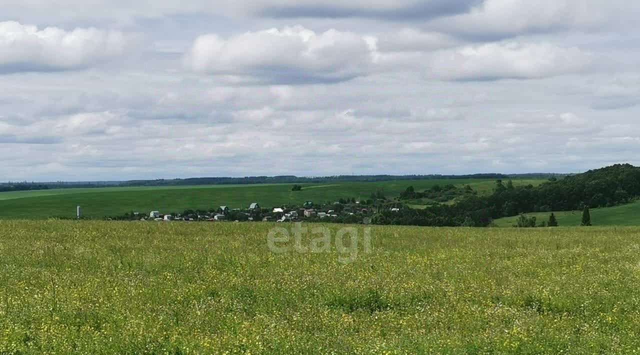 дом р-н Пестречинский с Ленино-Кокушкино пос, Энтузиаст СНТ фото 24