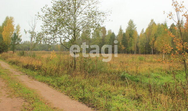 земля садово-огородническое товарищество Раглицы фото