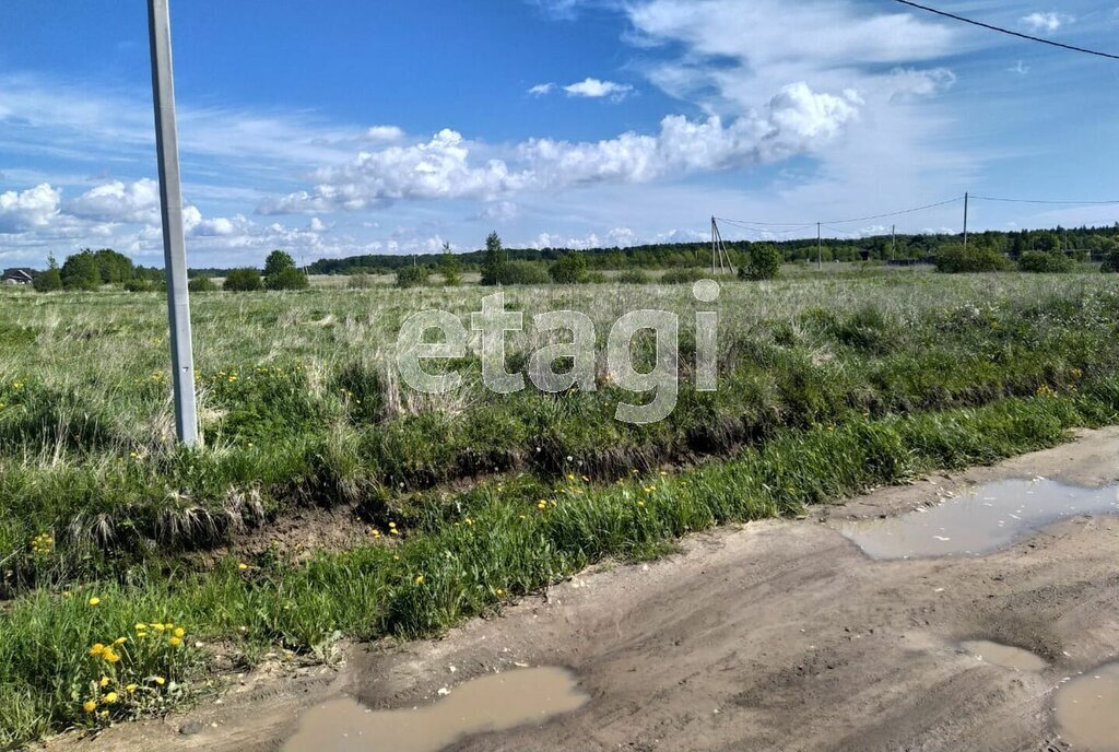 земля р-н Новгородский д Горынево Ермолинское сельское поселение фото 4