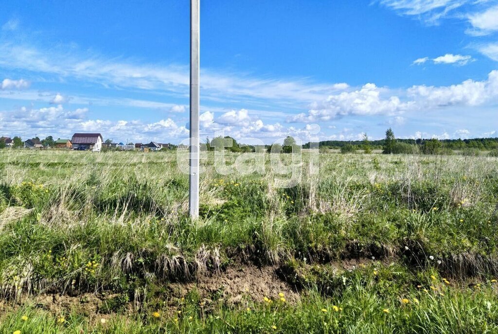 земля р-н Новгородский д Горынево Ермолинское сельское поселение фото 5