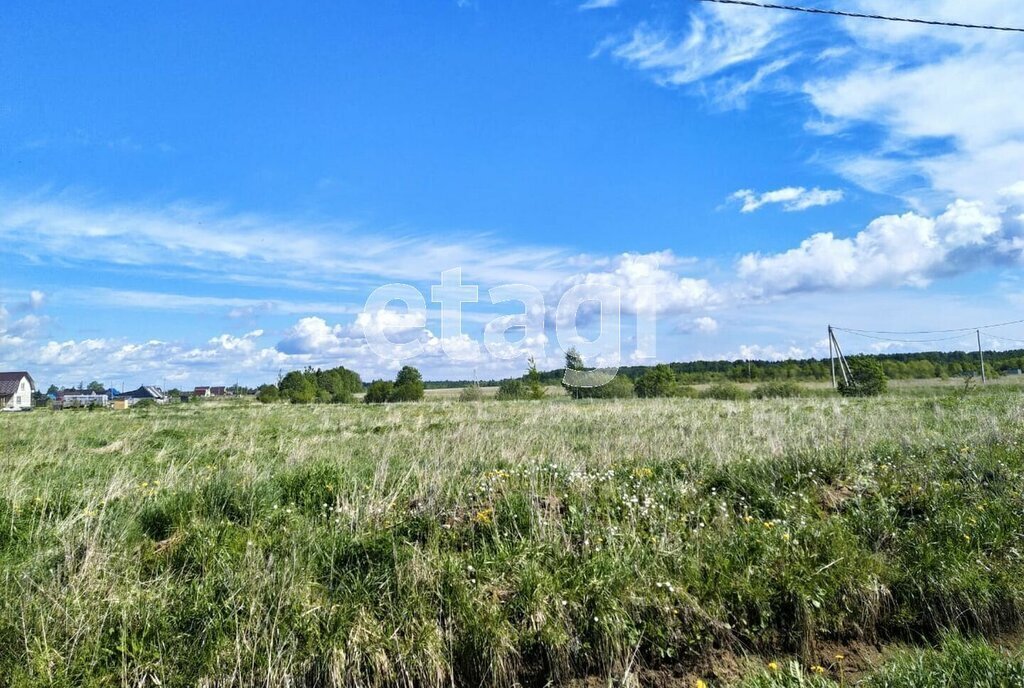 земля р-н Новгородский д Горынево Ермолинское сельское поселение фото 8