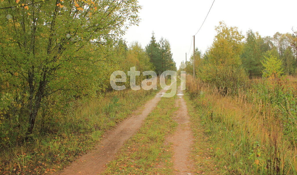 земля р-н Батецкий п Батецкий садово-огородническое товарищество Раглицы фото 5