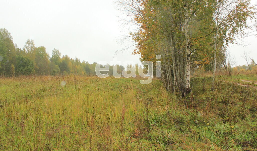 земля р-н Батецкий п Батецкий садово-огородническое товарищество Раглицы фото 19