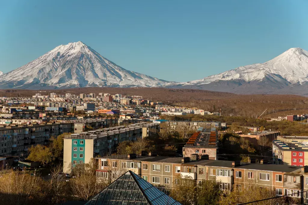 квартира г Петропавловск-Камчатский ул Толстого 1 фото 18